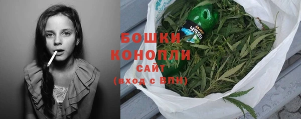 крисы Мегион
