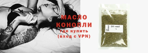 крисы Мегион
