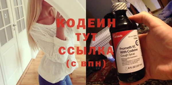 крисы Мегион