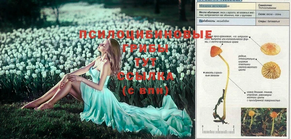 амфетамин Магас