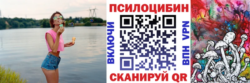Купить закладки  Осташков  Галлюциногенные грибы Psilocybine cubensis 